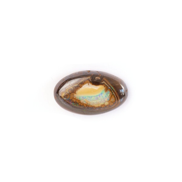 Boulder Opal, bunt, oval, 22x13mm