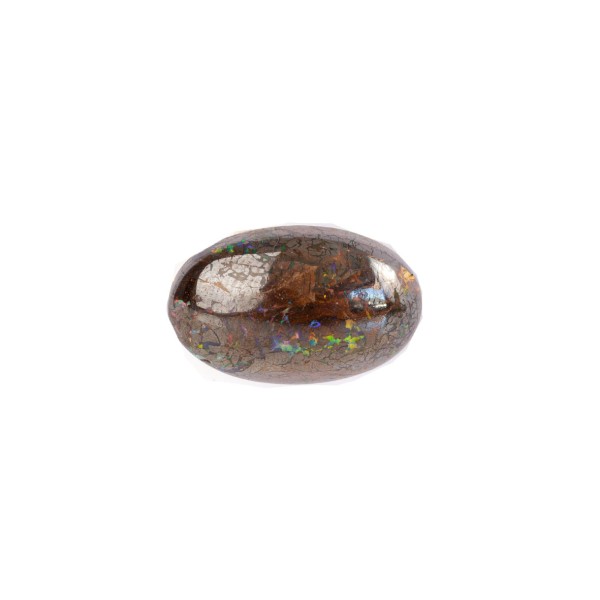 Boulder opal, multicolor, oval, 19.5x12mm