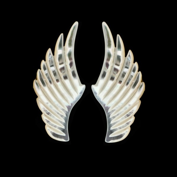 Mother-of-pearl, white, wing, 43 x 19 mm