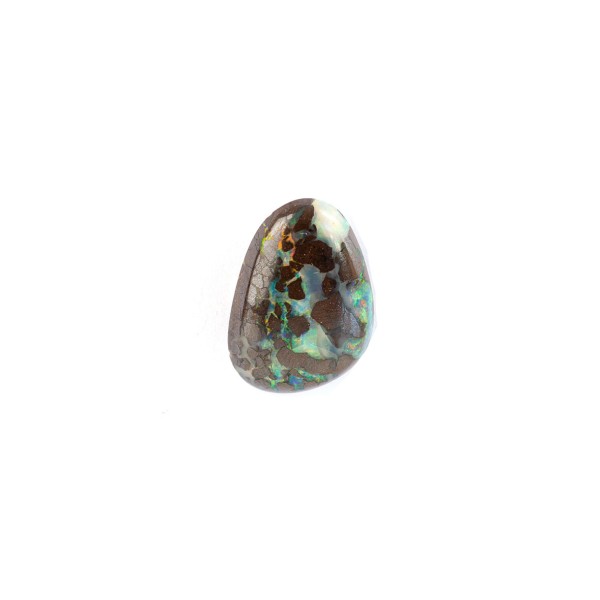 Boulder opal, multicolor, fancy, 18x13mm
