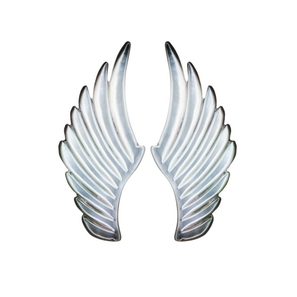 Mother-of-pearl, grey, wing, 43 x 19 mm