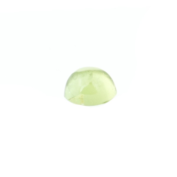 Peridot, green, cabochon, round, 5.5 mm